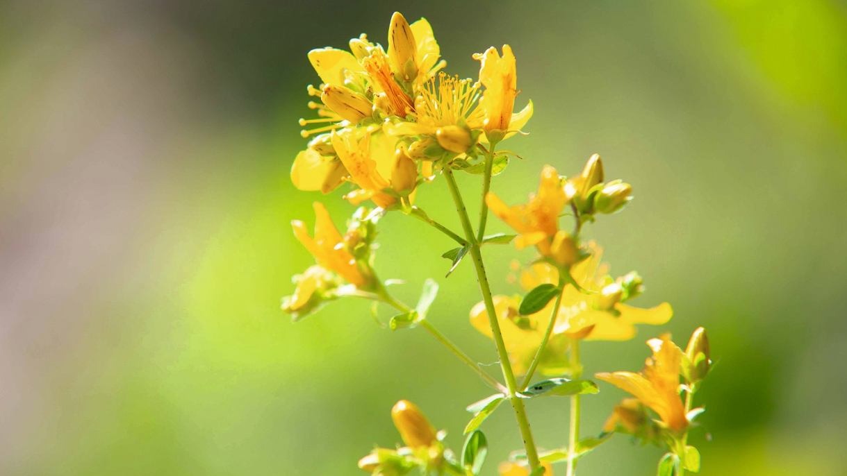 Körper und Seele in Balance